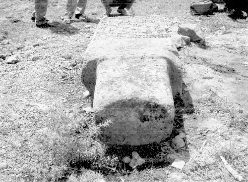 Argishti II_Bulutpinari_stele_CTU III_335b.jpg